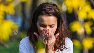 Kwiecień to moment, w którym alergia uderza najmocniej. Sprawdź, co teraz pyli i dlaczego objawy mogą być silniejsze niż miesiąc wcześniej