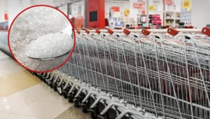 Cukier w sklepach będzie droższy? Susza zniszczyła część uprawa buraka cukrowego 