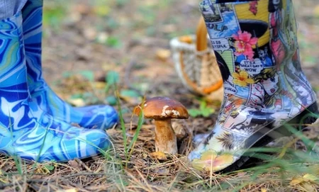 buty do lasu