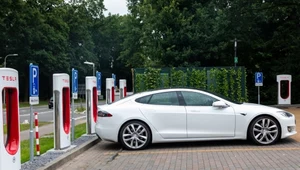 Tesla w opałach. Druzgocący raport NTHSA. Chodzi o wypadki