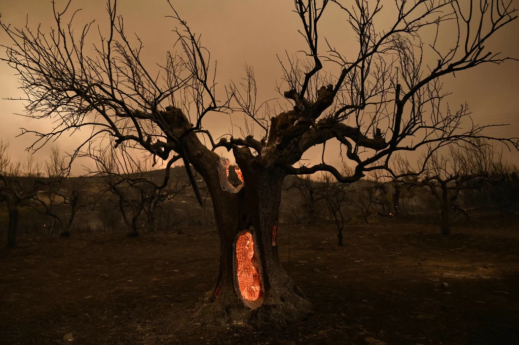 Wzrost liczby konfliktów związanych ze zmianami klimatycznymi jest nieunikniony