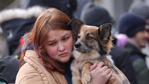 Zwierzęta domowe również są ofiarami wojny