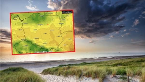 Kolejna oznaka jesieni? Przygotuj się na silne podmuchy wiatru
