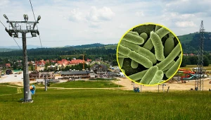 Białka Tatrzańska ma problem z bakterią E. coli