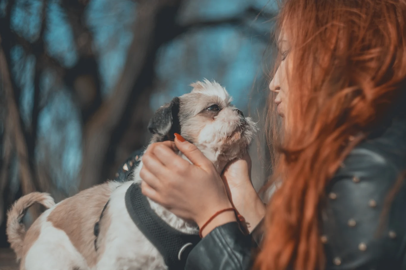 Ile słów rozumieją psy i w jaki sposób się to odbywa?
