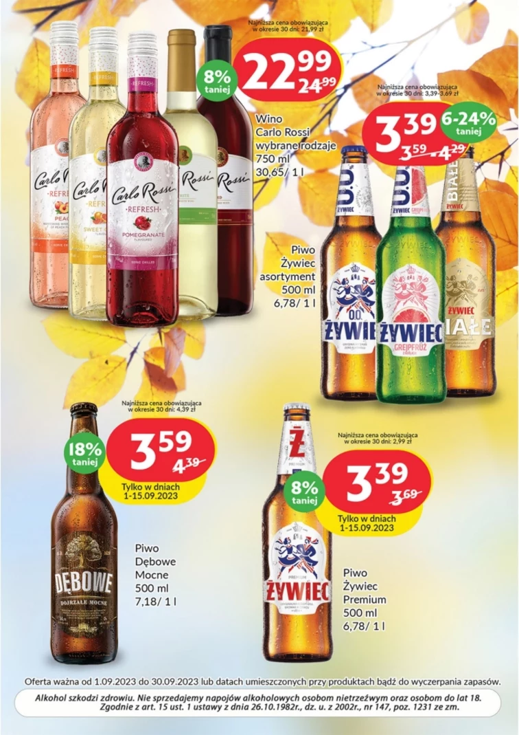 leaflet page preview image