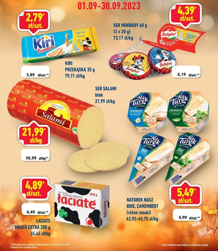 leaflet page preview image