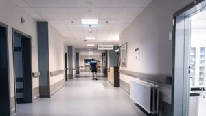 Legionella w Polsce. Komunikat Inspektora Sanitarnego w Rzeszowie, zdj. ilustracyjne
