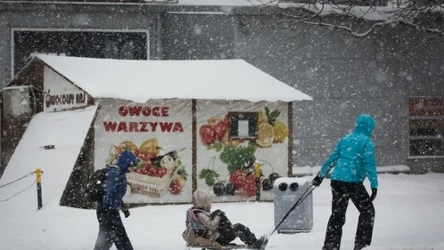 Według wstępnych prognoz El Niño wpłynie na pogodę w zimie. W Polsce doświadczymy zmiennych warunków