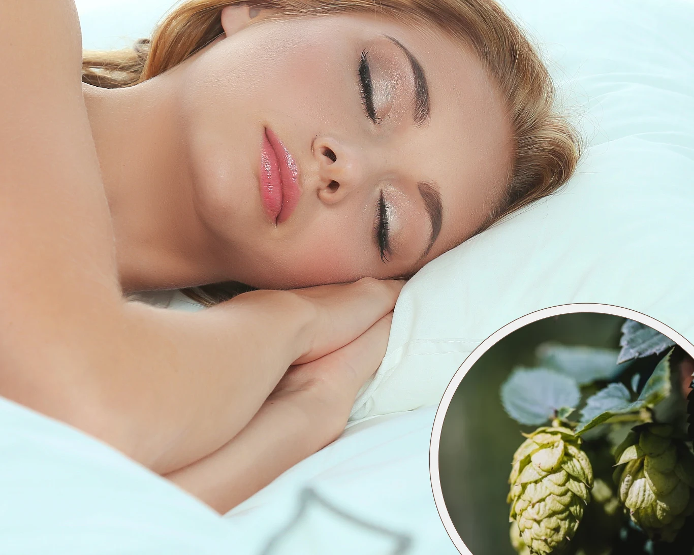 Napar z chmielu pomaga się wyciszyć, odprężyć i spokojnie zasnąć