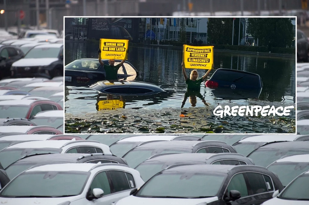 Działacze Greenpeace utopili trzy samochody w stawie.