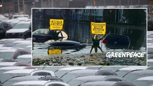 Działacze Greenpeace utopili trzy samochody w stawie.