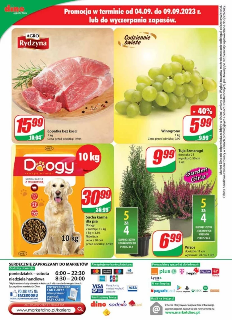 leaflet page preview image