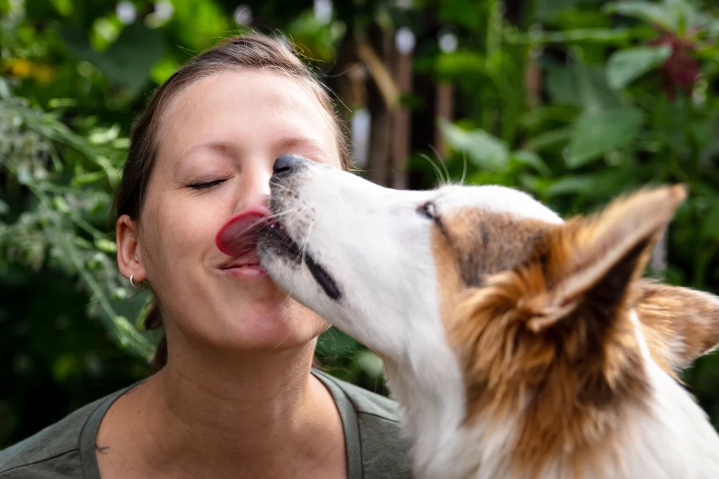 Badanie przeprowadzone w Holandii wykazało, że połowa właścicieli zwierząt domowych pozwala im lizać twarz