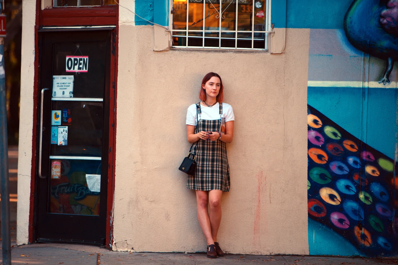 "Lady Bird"