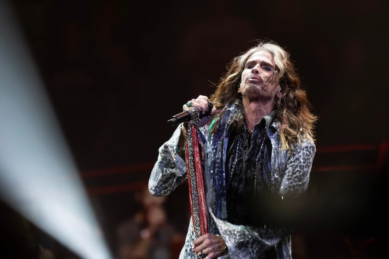 Steven Tyler (Aerosmith)