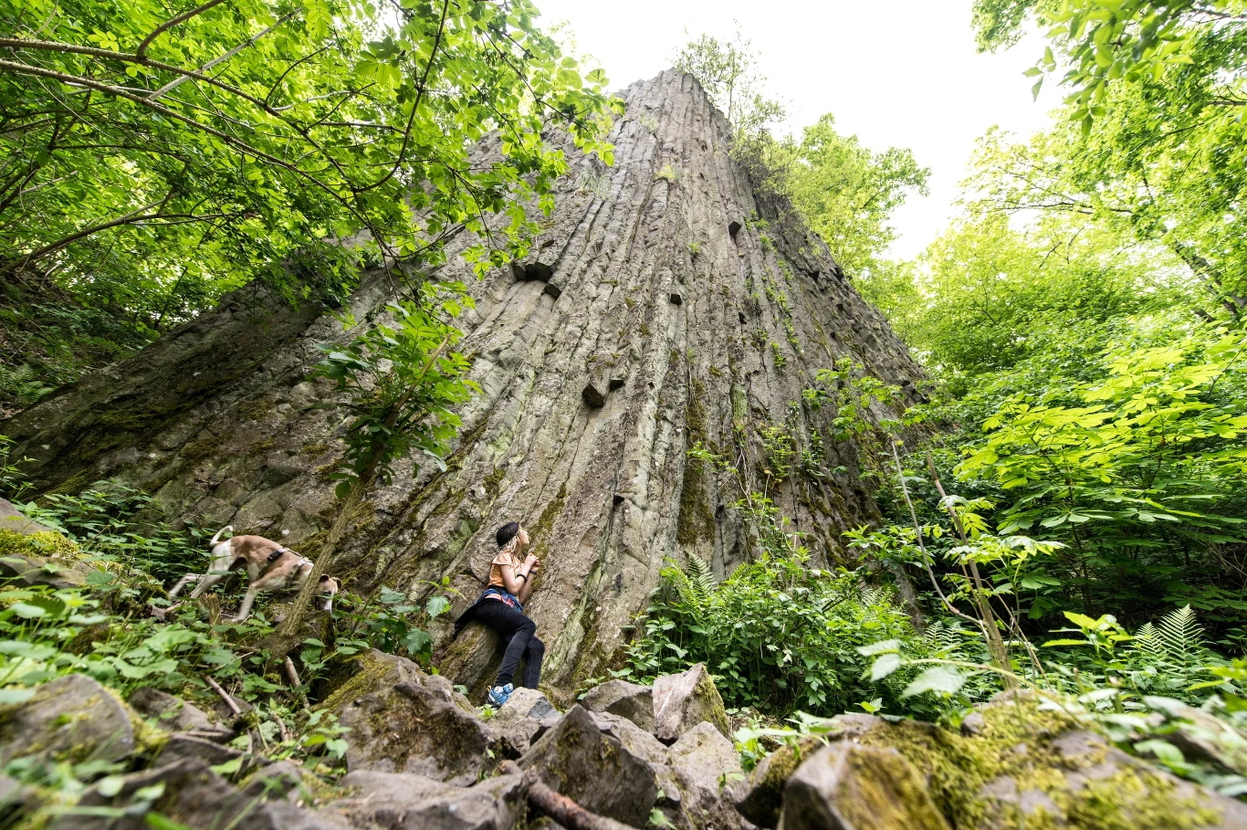 Male Organy Mysliborskie - bazaltowy czop wulkanu z widocznymi ciosami slupowymi,