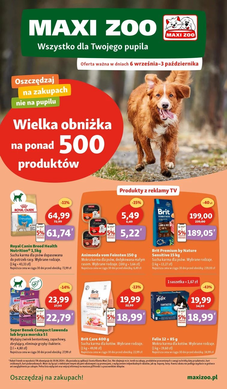 leaflet page preview image