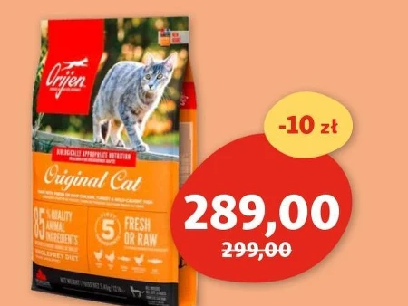 Karma dla kota orijen