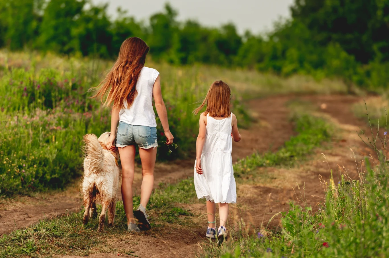 Przy budowaniu relacji psa i dziecka ważne jest respektowanie i pilnowanie granic psa, by dziecko ich nie przekraczało