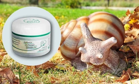 krem ze ślubu ślimaka