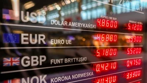 Złoty mocno traci na wartości po decyzji RPP