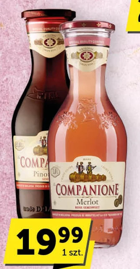 Wino Companione