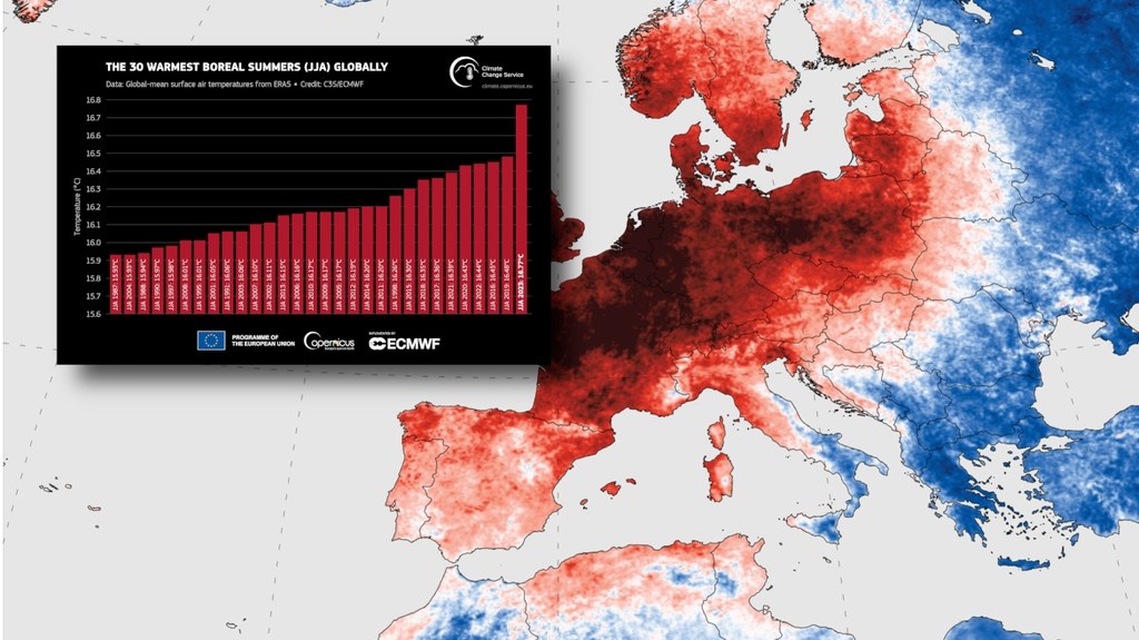 Najnowsze dane pokazują, że lato 2023 było najcieplejsze w historii