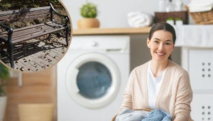 Zbierz w parku i wrzuć do pralki. Zaoszczędzisz na proszku do prania 