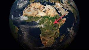 Ogromny rurociąg naftowy przetnie serce Afryki. Naukowcy ostrzegają