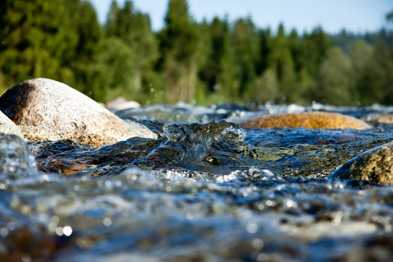 Niewiarygodne możliwości „żywego materiału”. Będzie oczyszczać wodę Niewiarygodne możliwości „żywego materiału”. Będzie oczyszczać wodę