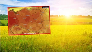 Lato w pełni: Cieszmy się pięknym dniem