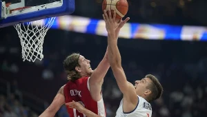 Kelly Olynyk / Bogdan Bogdanović