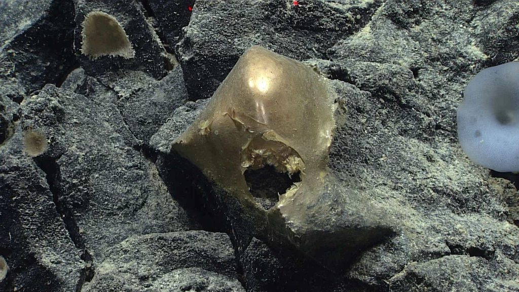 Na dnie Pacyfiku naukowcy odnaleźli tajemniczą złotą kulę