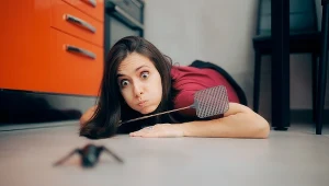 Pająki wchodzą do domu? Połóż to pod drzwiami, a pozbędziesz się ich na dobre