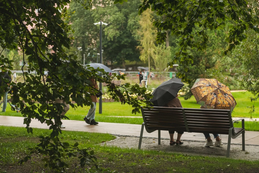 Park Centralny w Gdyni ma być miejscem odpoczynku dla mieszkańców
