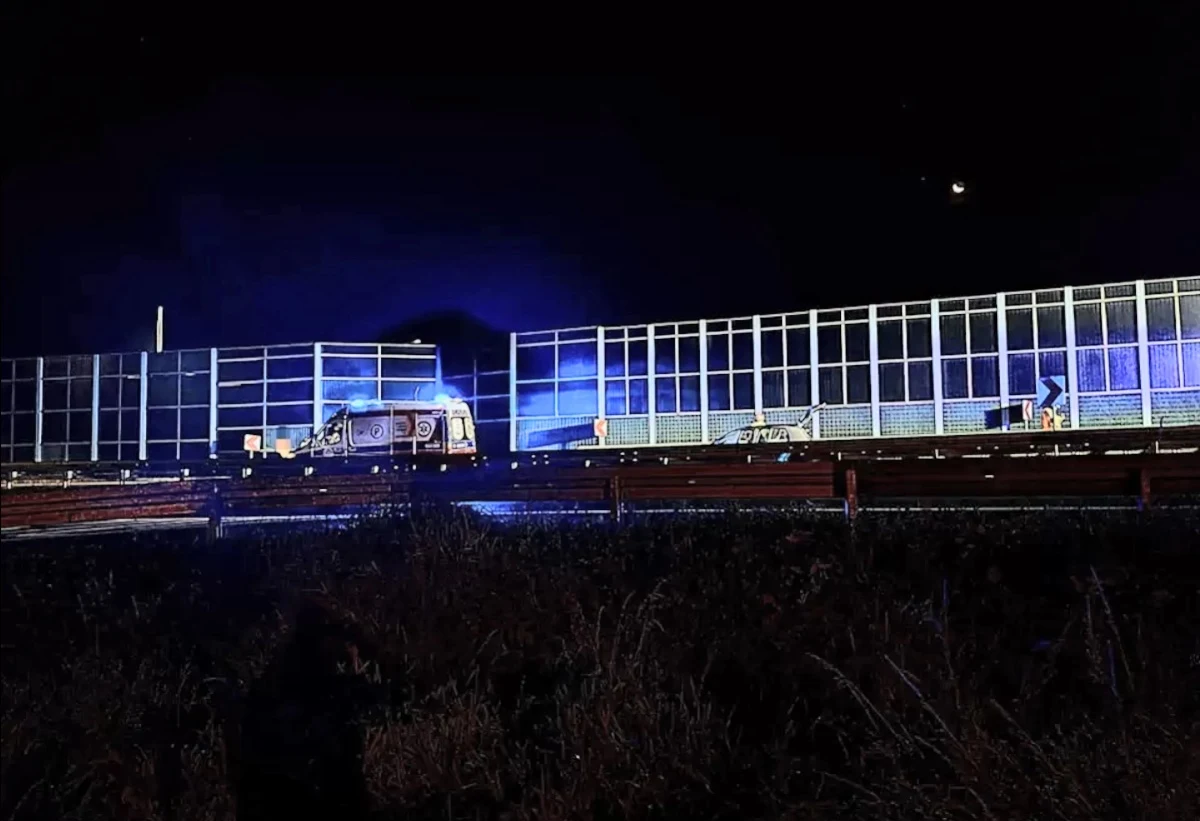 Pieszy zginął na miejscu / fot. Ratownictwo Powiat Pszczyński Pieszy zginął na miejscu / fot. Ratownictwo Powiat Pszczyński