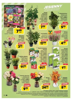 Tysiące produktów w niskich cenach - Carrefour!