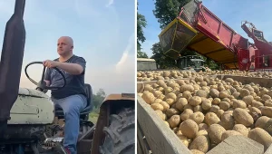 Politycy pochwalili się jesiennymi zbiorami