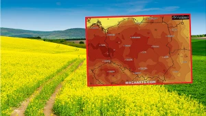 Czeka nas letnia duchota? Wiele alertów pogodowych