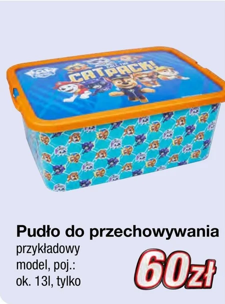 Pudło Psi Patrol