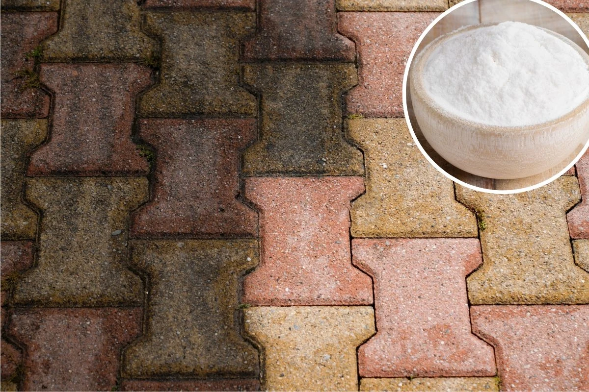 Czyszczenie kostki brukowej domowymi sposobami wykazuje dużą skuteczność Czyszczenie kostki brukowej domowymi sposobami wykazuje dużą skuteczność