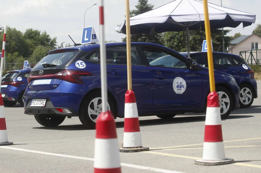 Według raportu NIK system szkolenia kierowców w Polsce wymaga poważnych zmian