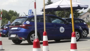 System szkolenia kierowców jest zły. Miażdżący raport NIK