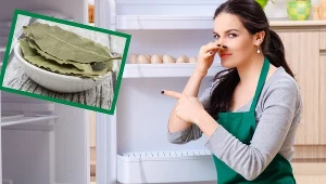 Włóż 2 liście laurowe na noc do lodówki. Rano zobaczysz kolosalną różnicę