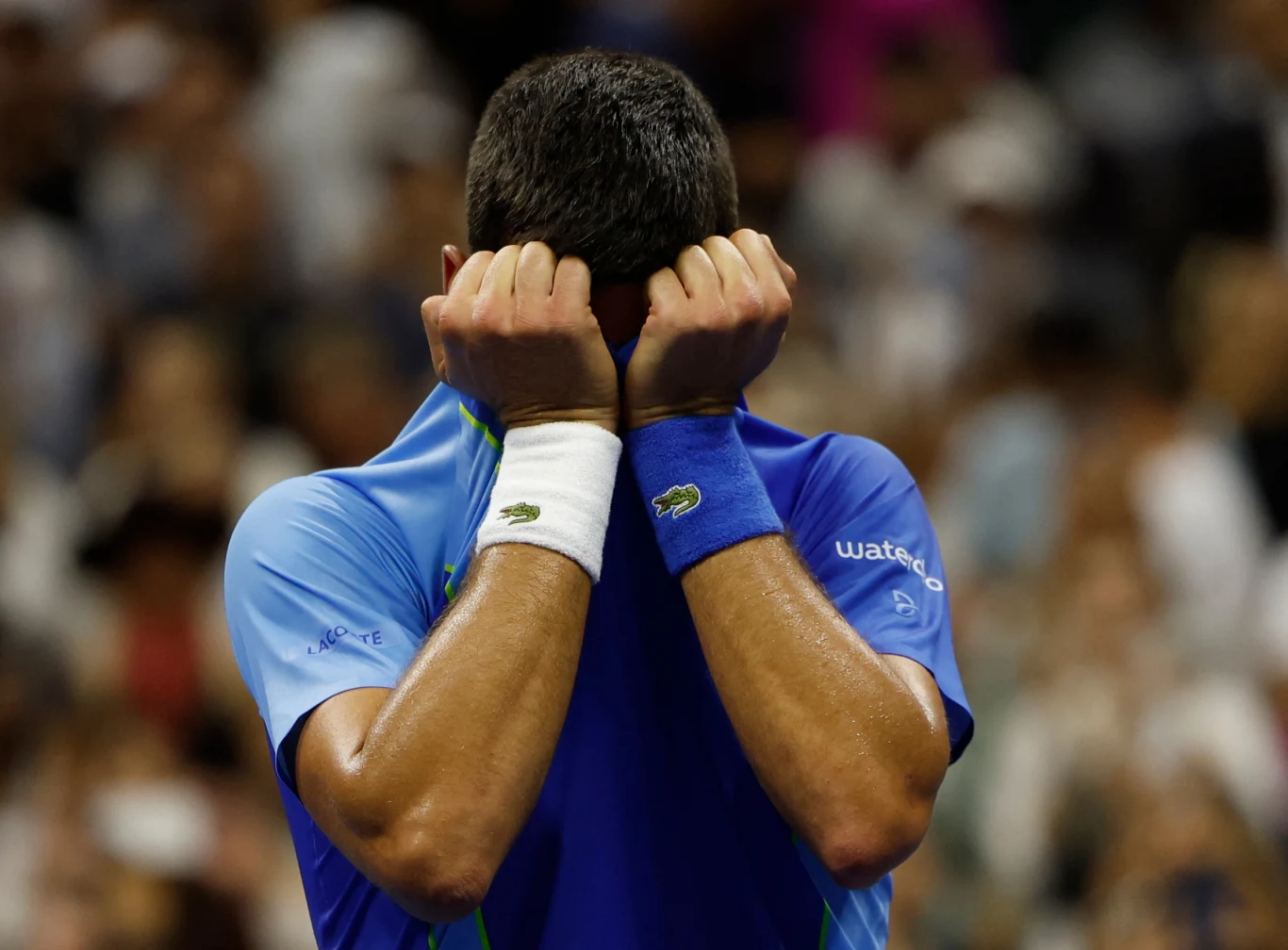 Novak Djoković Novak Djoković