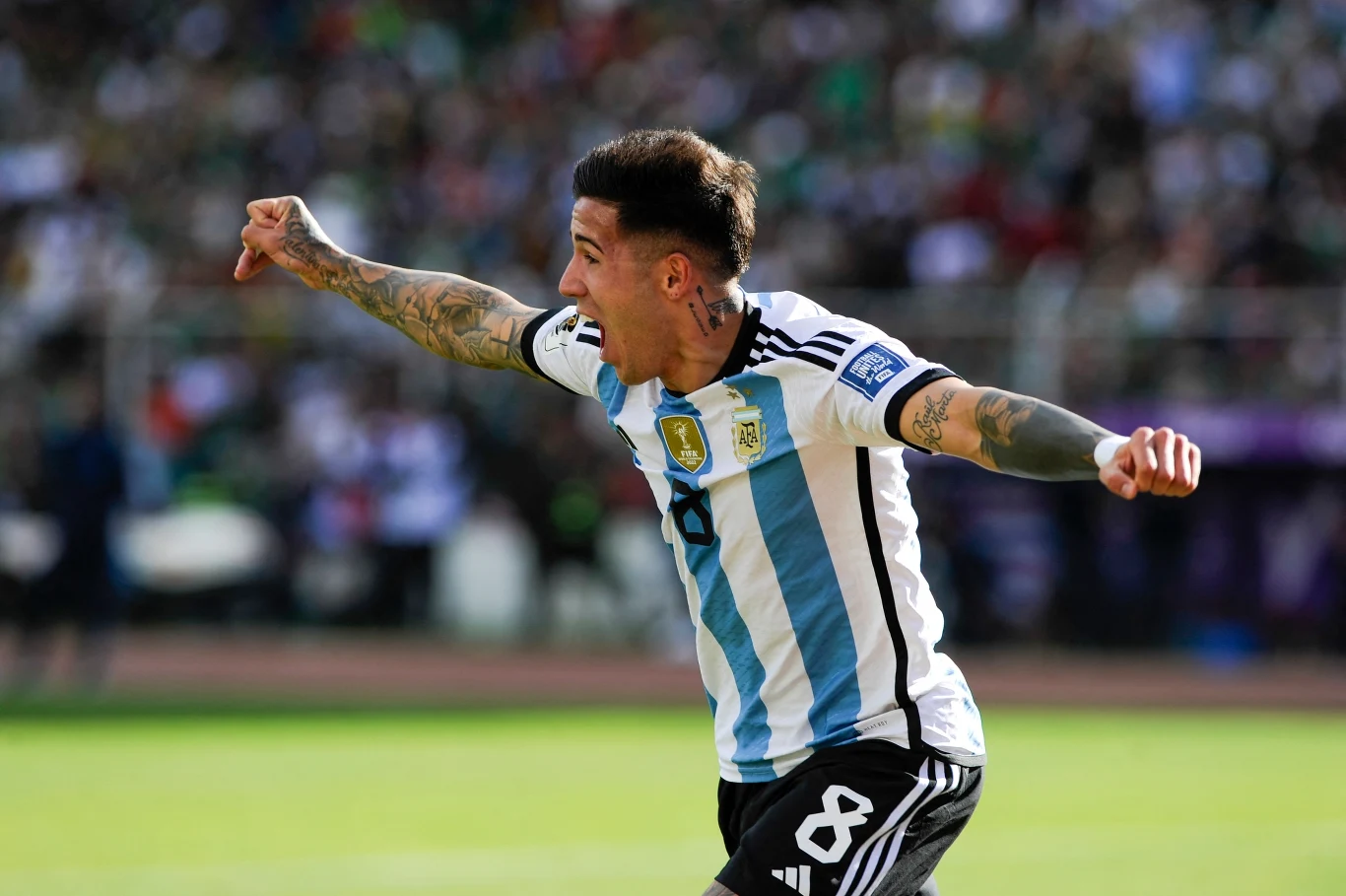 Enzo Fernandez
