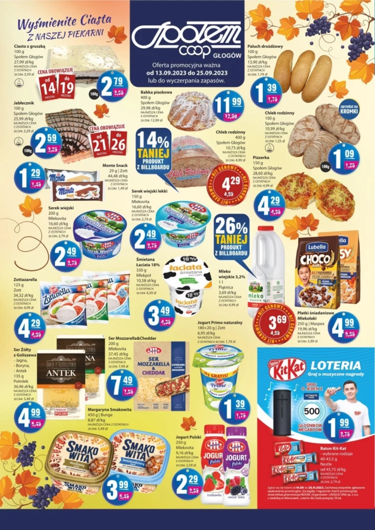 leaflet page preview image