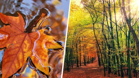 Jak podaje IMGW, wrzesień będzie ekstremalnie ciepły a w październiku mamy szansę na złotą polską jesień. W listopadzie będzie gorzej