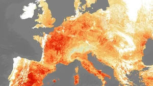 Sześć dodatkowych tygodni upałów. Wcale nie w tropikach, ale Europie